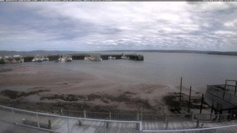 Digby Harbour