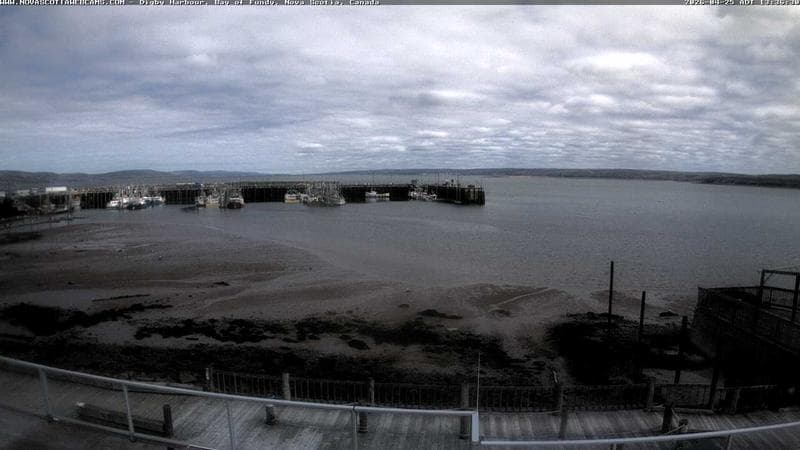Digby Harbour