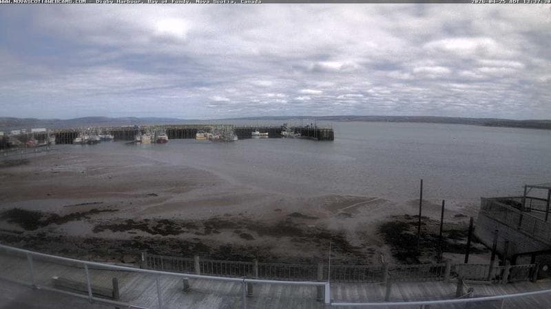 Digby Harbour