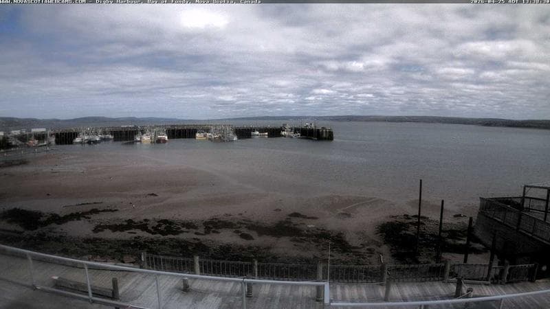 Digby Harbour