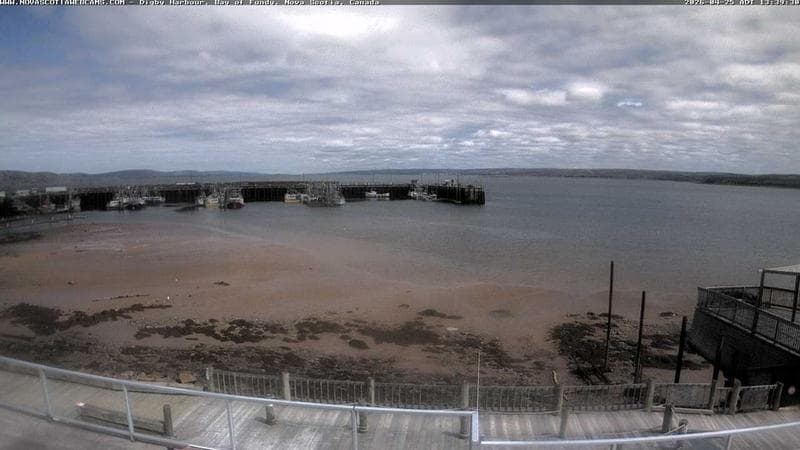 Digby Harbour
