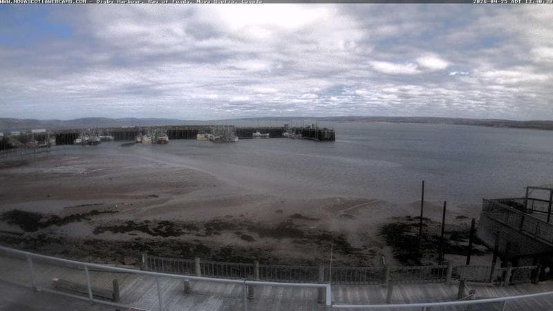Digby Harbour