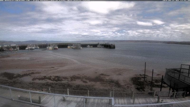 Digby Harbour