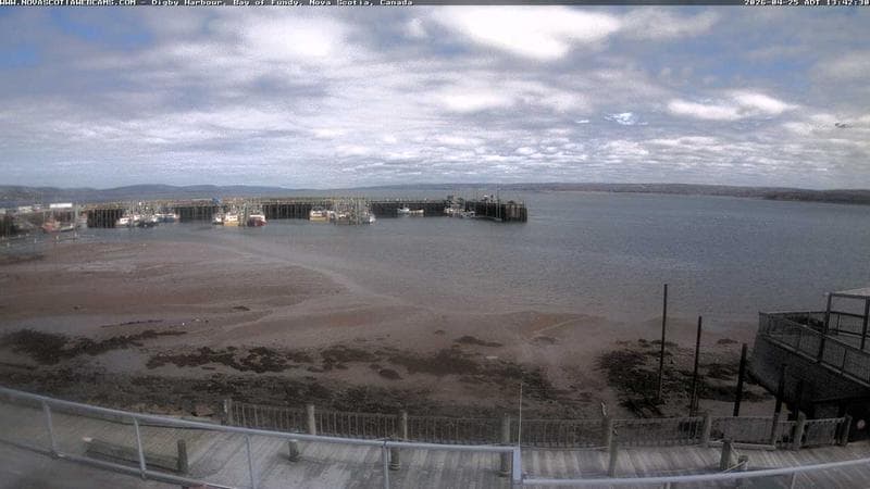Digby Harbour
