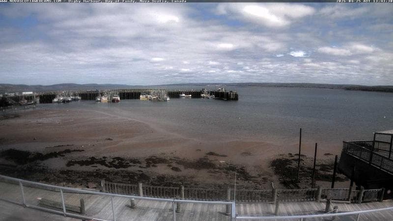 Digby Harbour