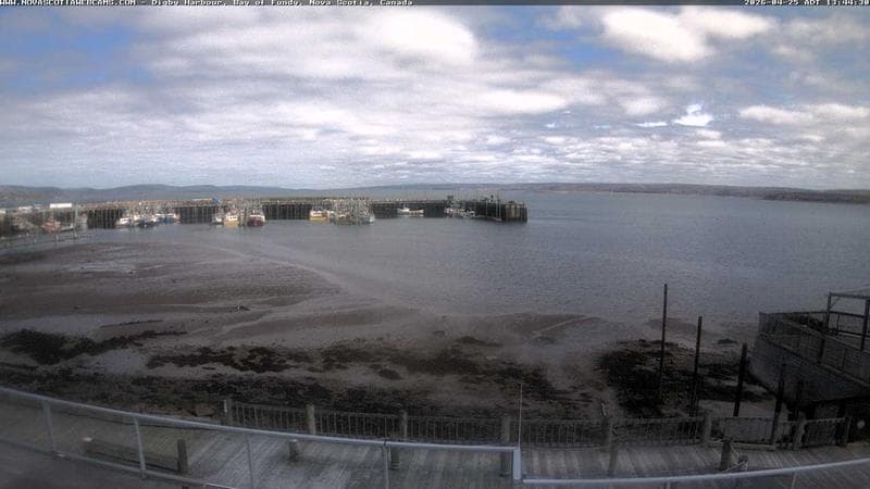 Digby Harbour