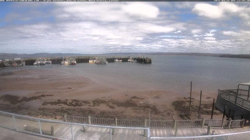 Digby Harbour