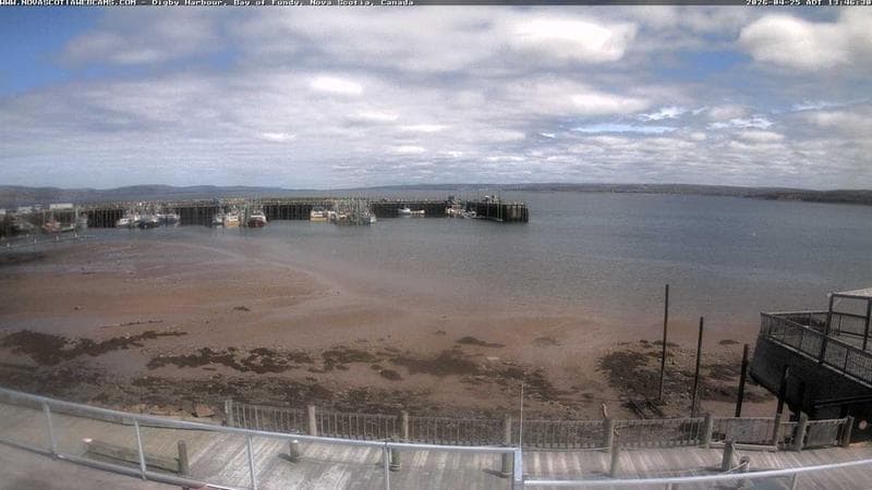 Digby Harbour