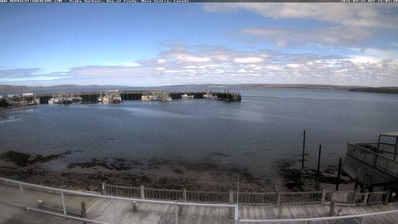Digby Harbour