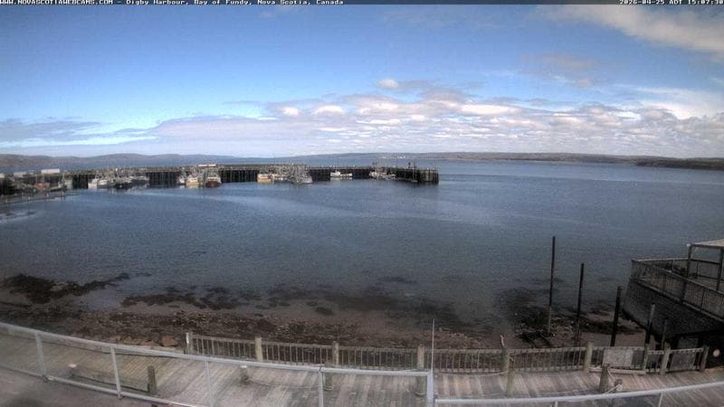 Digby Harbour