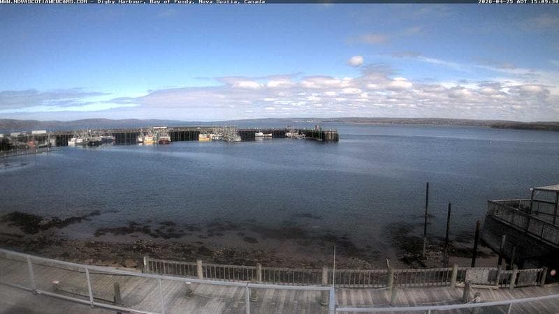 Digby Harbour
