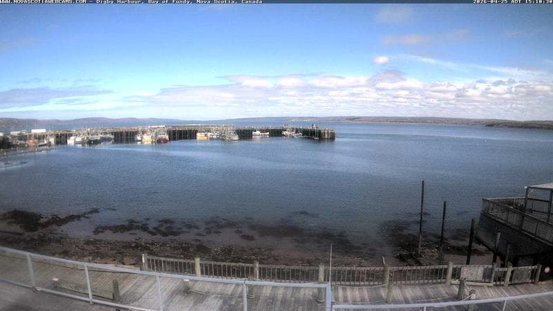 Digby Harbour