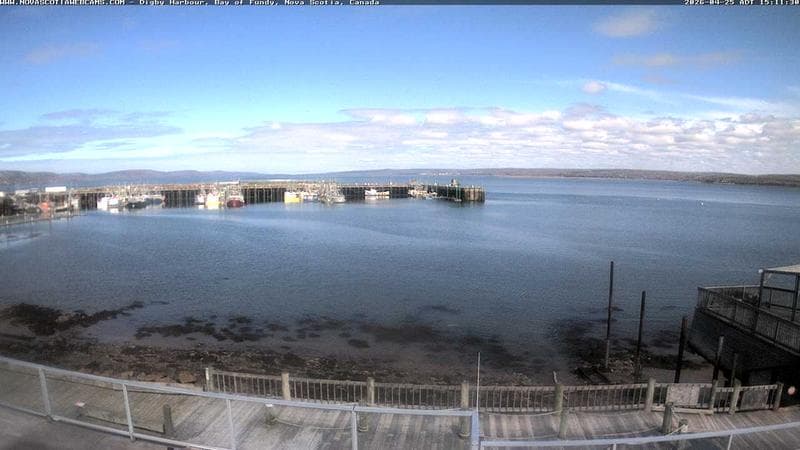 Digby Harbour
