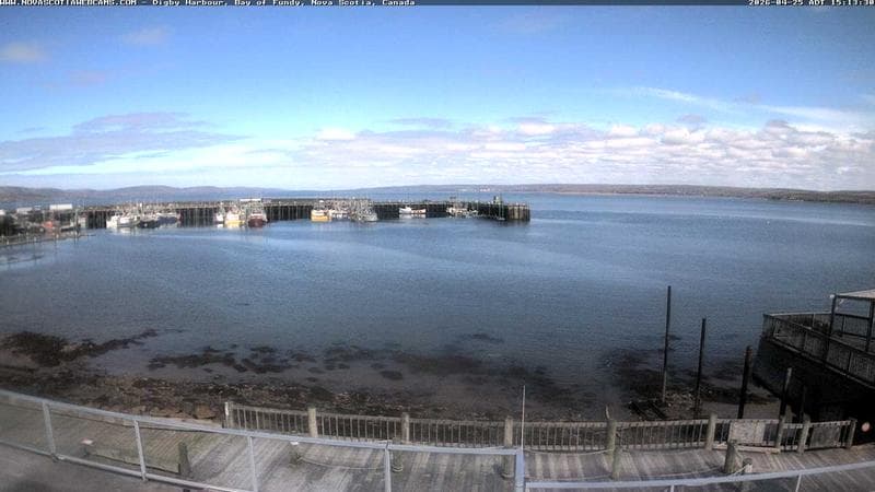 Digby Harbour