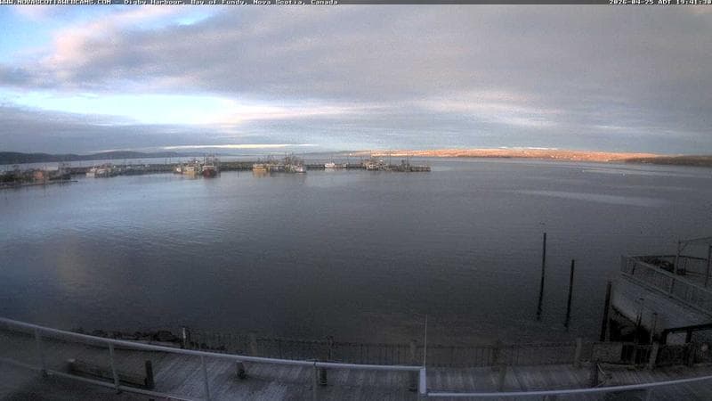 Digby Harbour