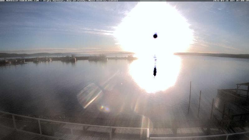 Digby Harbour