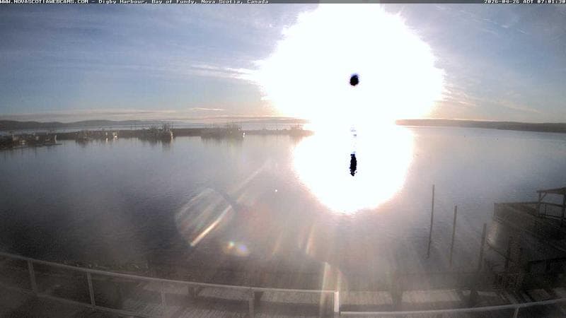 Digby Harbour