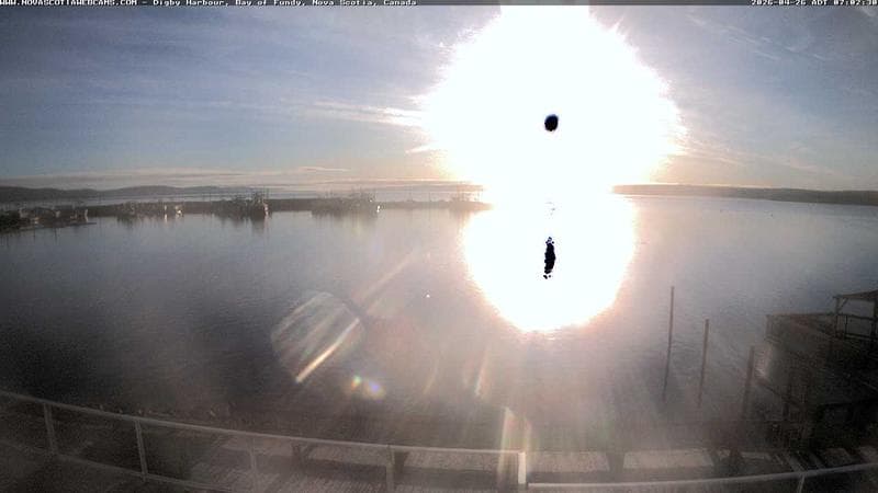 Digby Harbour