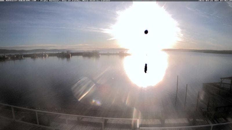 Digby Harbour