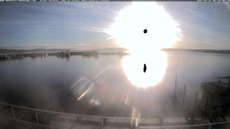 Digby Harbour