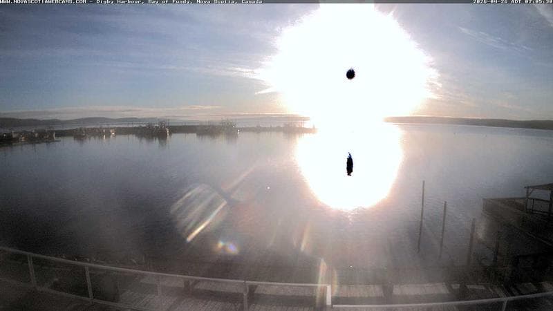 Digby Harbour
