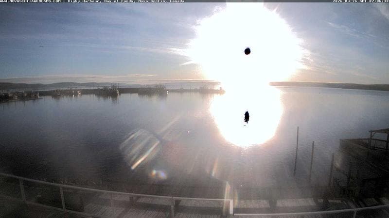 Digby Harbour
