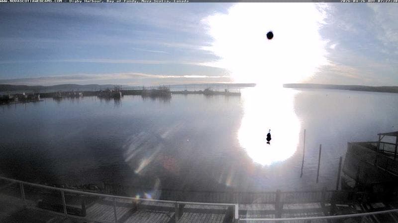 Digby Harbour