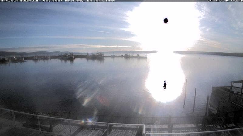 Digby Harbour
