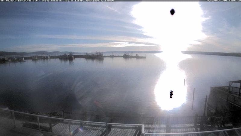 Digby Harbour