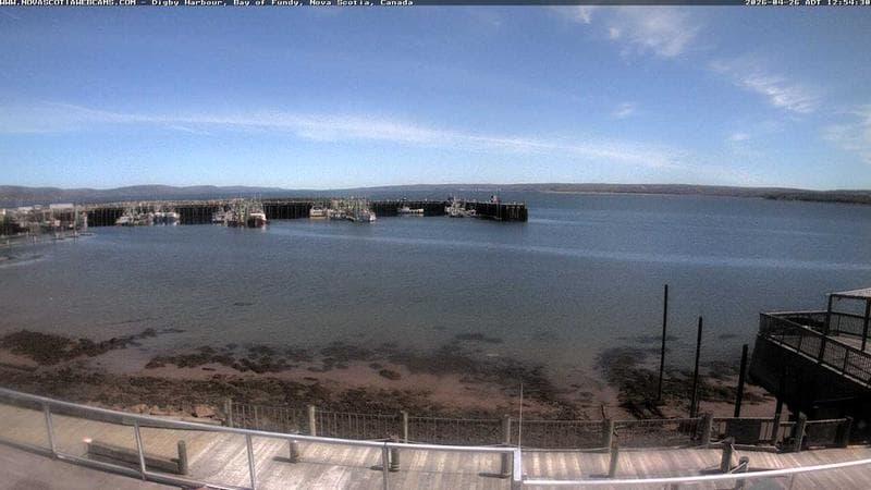 Digby Harbour