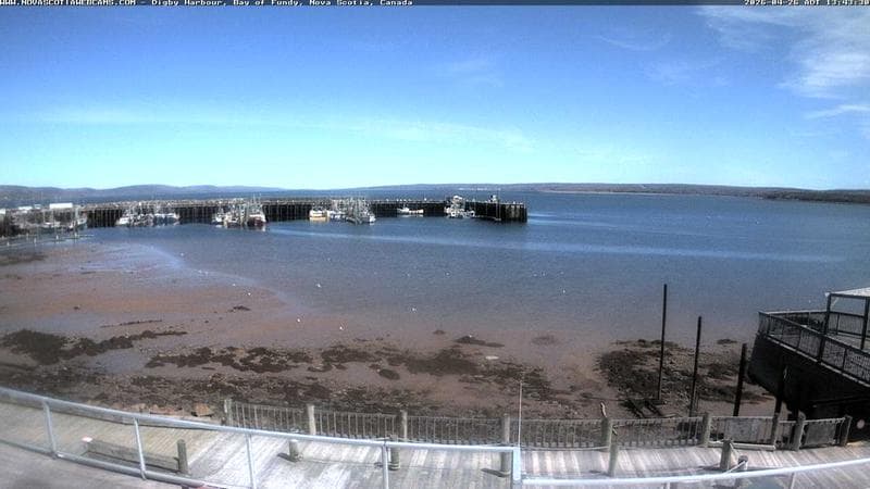 Digby Harbour