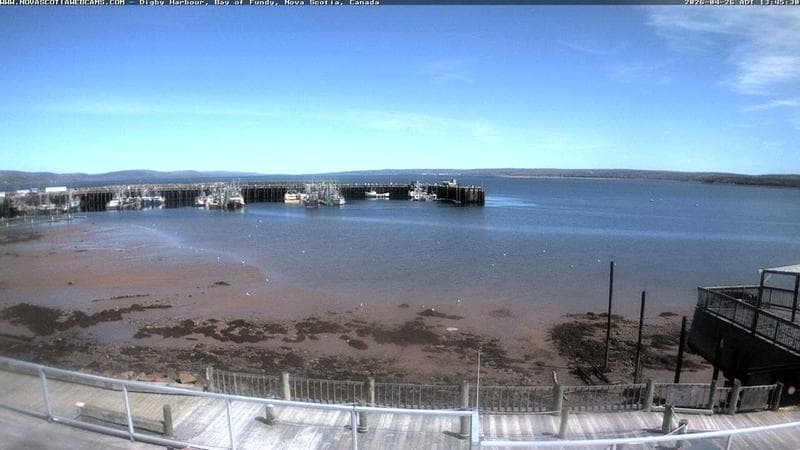 Digby Harbour