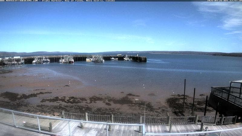 Digby Harbour