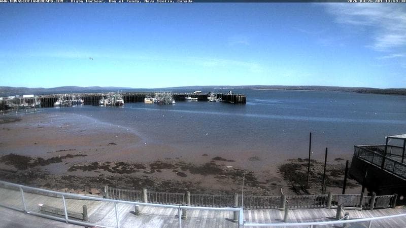 Digby Harbour
