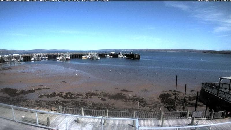 Digby Harbour