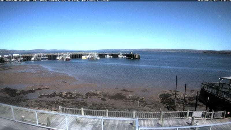 Digby Harbour