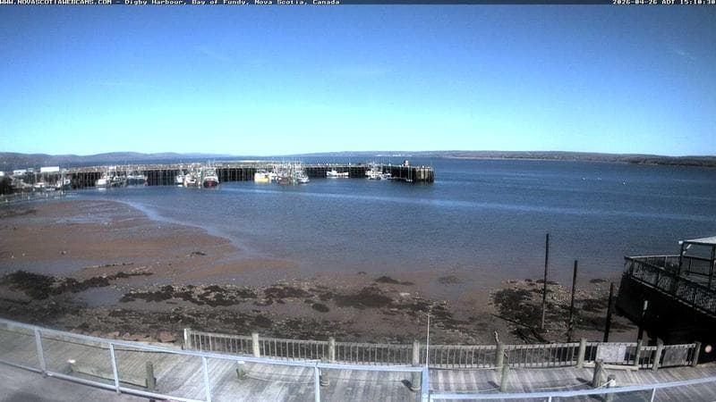 Digby Harbour