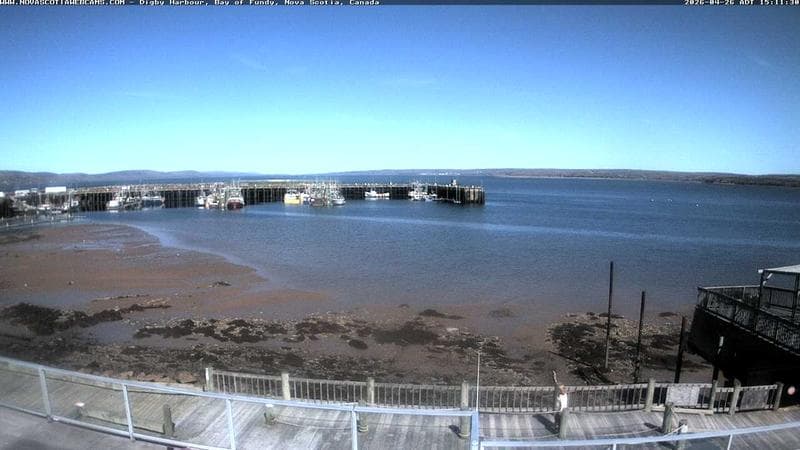 Digby Harbour