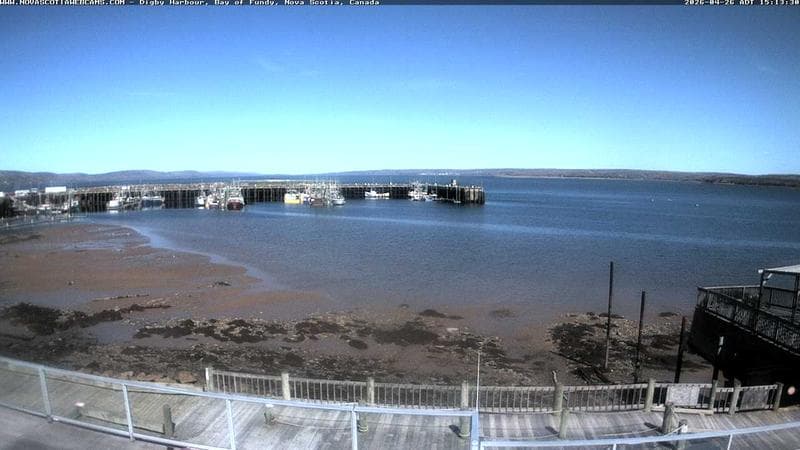 Digby Harbour