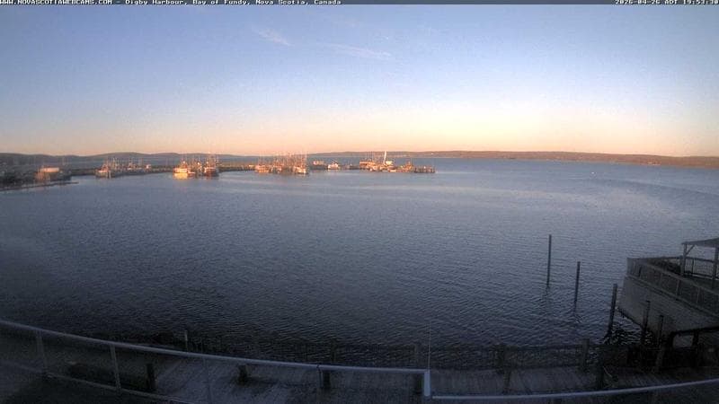 Digby Harbour