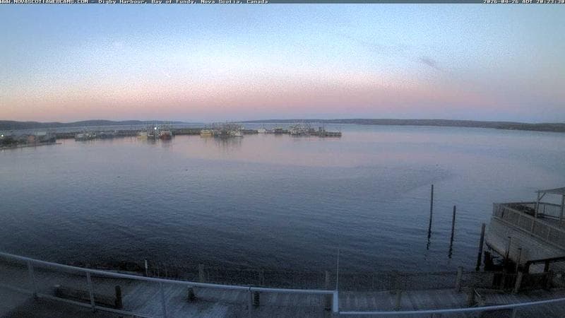 Digby Harbour