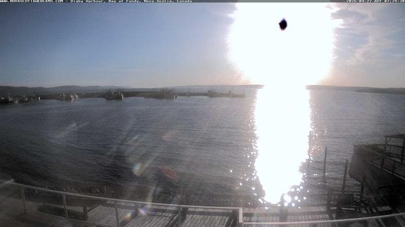 Digby Harbour