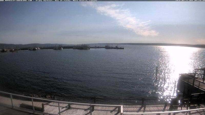 Digby Harbour