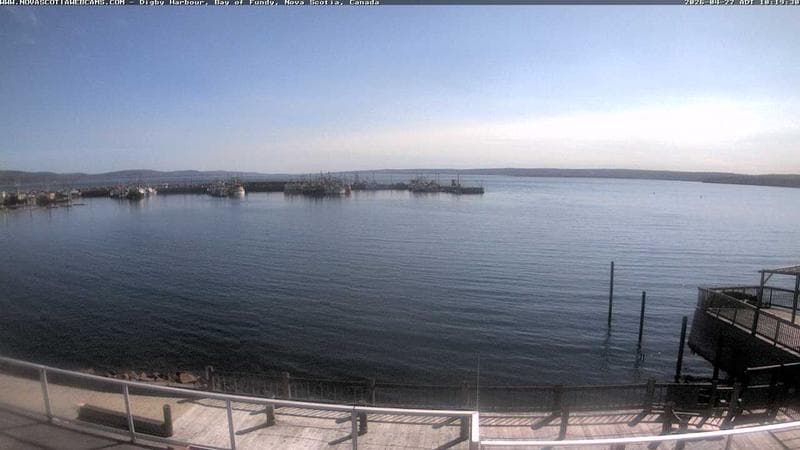 Digby Harbour