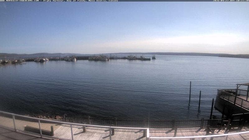 Digby Harbour