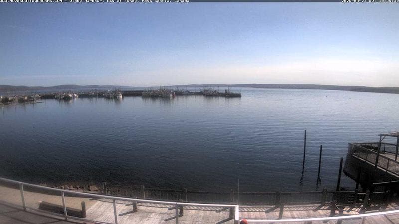 Digby Harbour