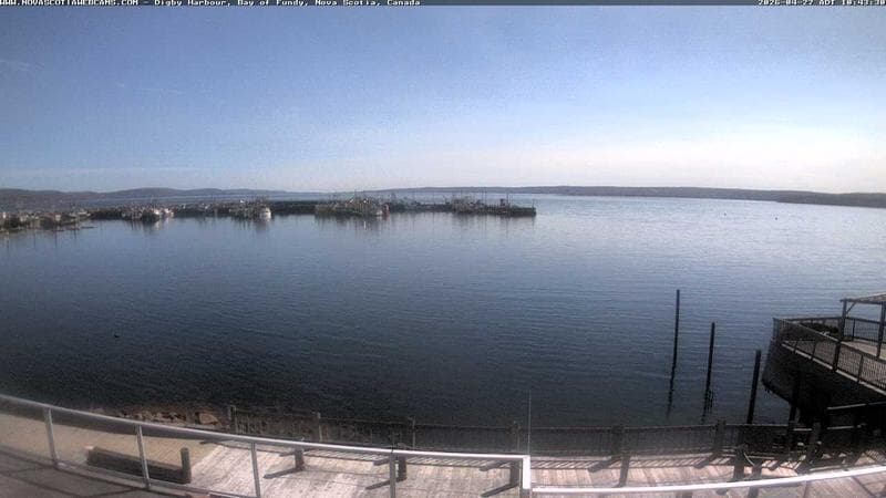 Digby Harbour