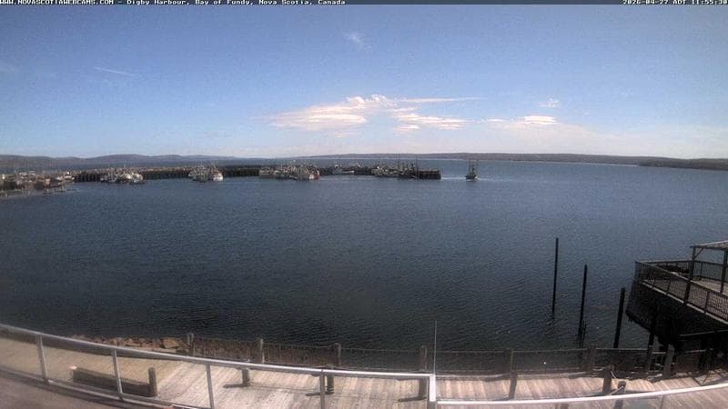 Digby Harbour