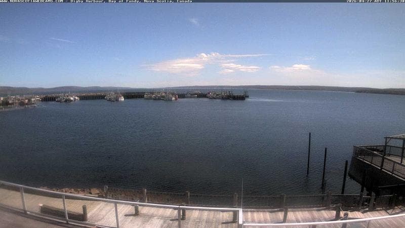 Digby Harbour