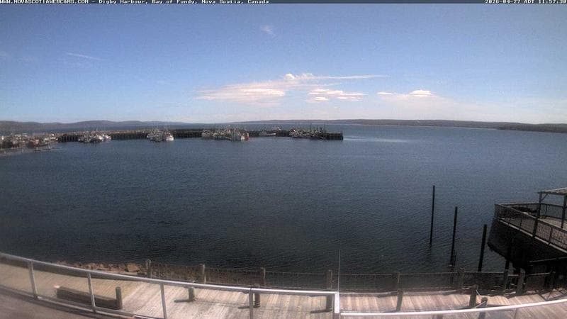 Digby Harbour